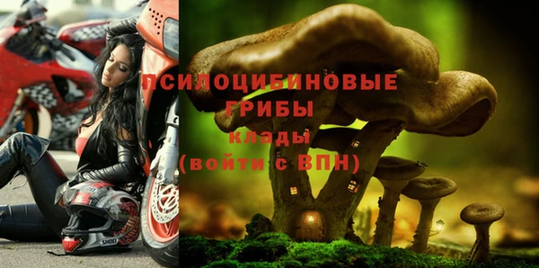 прущий лед Армянск