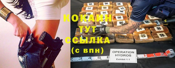 круглые Аркадак