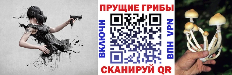 Псилоцибиновые грибы Cubensis цена наркотик Луховицы